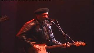 Fairport Convention -  I&#39;m Down (with Richard Thompson) Cropredy 2005