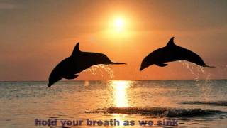 Lovebirds - In the Shadows