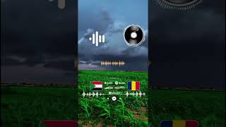 أغاني زغاوة بري بور حول العالم 🌎 🔥