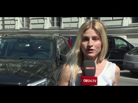 Hitze im Auto: Lebensgefahr für alle Vierbeiner