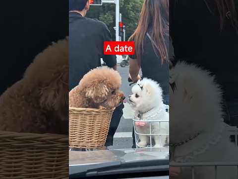 Cuộc gặp tình cờ