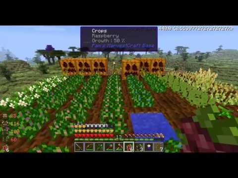 HonneyPlay's Blood n Bones S2 Ep 30 Progress
