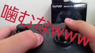 非公式プロコントローラーでいろんなゲーム試してみた‼