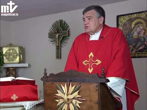 Homilía de hoy | Domingo de Ramos, solemnidad | 28.03.2021 | P. Santiago Martín FM