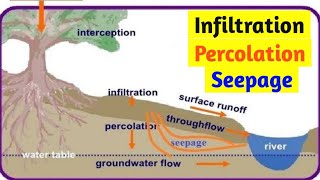 Infiltration l Percolation l Seepage में क्या अंतर है l Sky Krishi classes l Sana sir