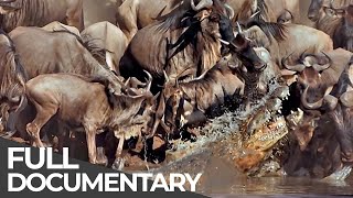 ► Serengeti - The Adventure (Full Documentary, HD)