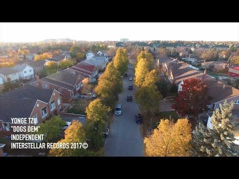 Yonge Tzu - Dogs Dem (Official Music Video)