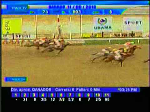 Resumen Sábado, 11 de Septiembre de 2010 - La Rinconada