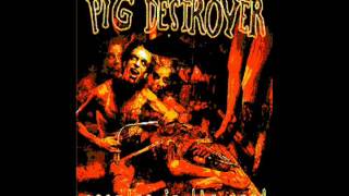Starbelly - Pig Destroyer (8-Bit)