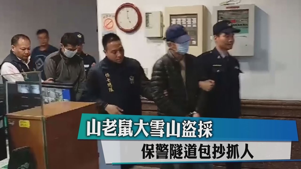 山老鼠大雪山盜採　保警隧道包抄抓人