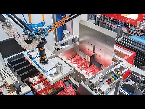 Blueprint Automation Spider200i case packer