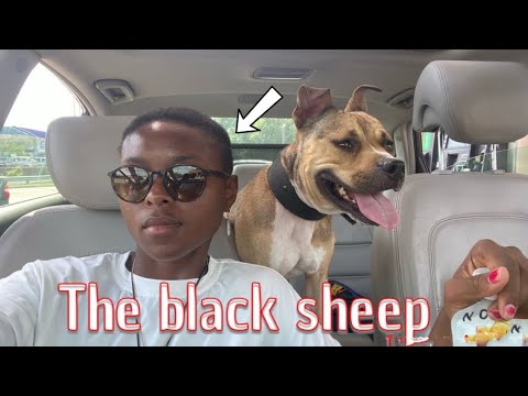 Signs you’re a Black Sheep/chosen one | our experience