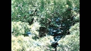 Stephan Micus - Salinas Dance.wmv