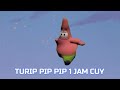 TURIP IP IP 1 HOURS LOOP