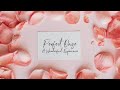 Perfect Daze - A Wonderful Experience