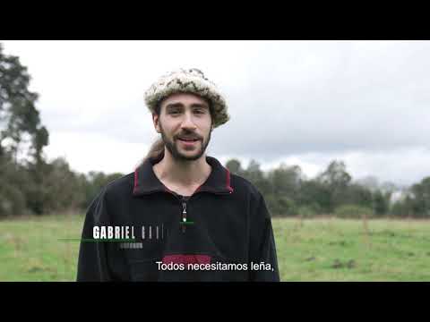 PROGRAMA NOTHOFAGUS: Gabriel Garín, usuario en Río Bueno, Región de Los Ríos, Chile