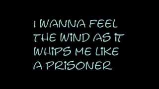 P!NK - Chaos And Piss official lyrics