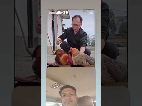 ##😄😄😃😃❤️❤️🥳🥳 like and comment Sher sascraib please