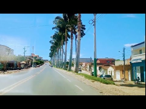 De Canarana até Salobro Bahia pela rodovia BA-432. | Tudo verde por aqui.