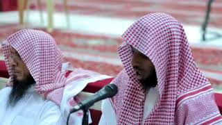 صورة أ.د. علي الشبل | شرح دليل الطالب (56)