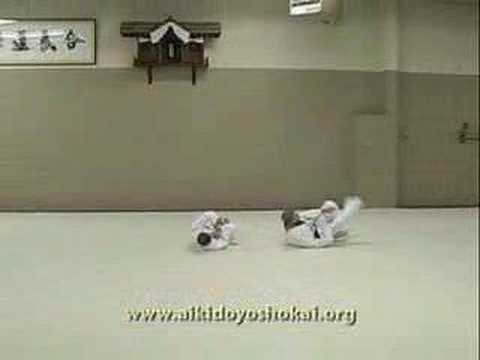 Aikido Yoshokai: Advanced Techniques