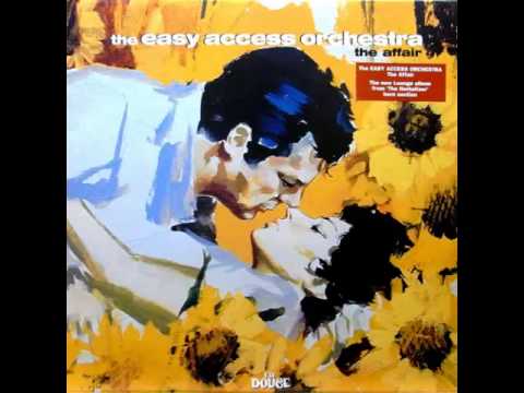 The Peeper -The Easy Access Orchestra