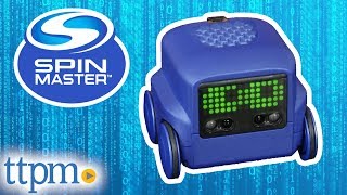 Boxer from Spin Master