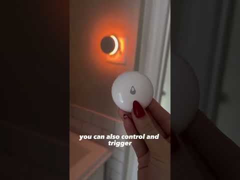 Video van Aqara Waterleksensor T1