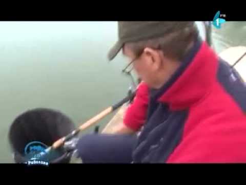 Cari ribolova kad dunje pozute