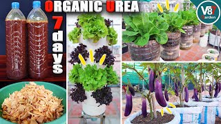 How to Make Organic Urea (Nitrogen) Fertilizer at Home