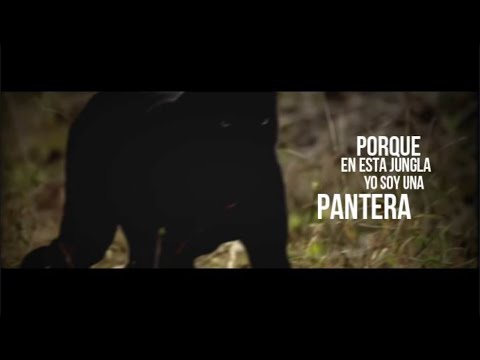 Minuto de BLAXIMENTAL derrochando Flow | Blaximental vs Piero Pistas | edit - letra | RBPERÚ - 2021