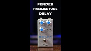 Video thumbnail for Fender Hammertone Delay Pedal Demo by Sweetwater