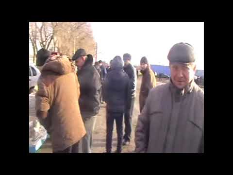 ВЫСТАВКА ГОЛУБЕЙ. Г. САЛЬСК. 25.01.20.