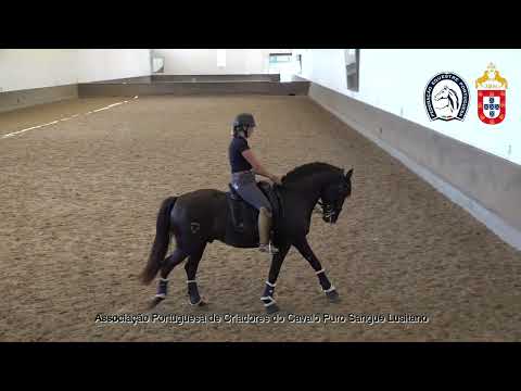 230626 11 Proj Ensino APSL&FEP - Malin Bowallius com Nababo