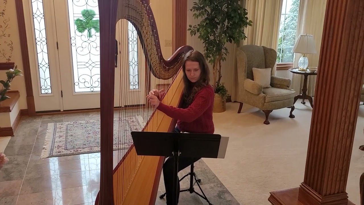 Promotional video thumbnail 5 for The Legal Harpist