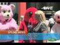 Road To The Olympic Games Meet The Fuwa