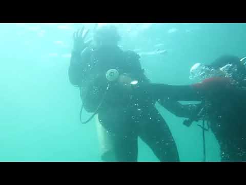 Scuba girl panicking out of air