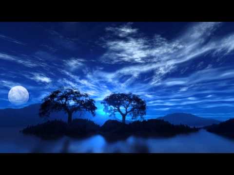 Mike Foyle - Bittersweet Nightshade (Original Mix)