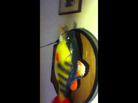 Thumbnail for rare footage of singing fish by The Four Tops