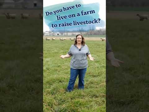 Dr. Sara May, Allergy and Immunology