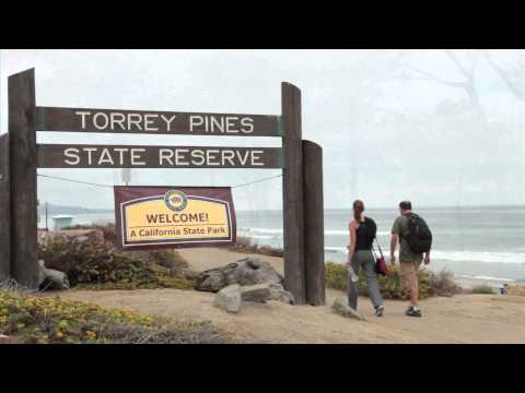 Yes on Prop 21: University Style