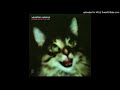 Venetian Snares - Bobo (Slowed Down)
