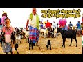 பெரம்பலூர் சிறுவாச்சூர் ஆட்டுச் சந்�