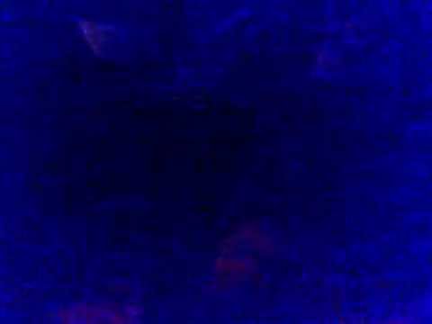 eLeS Klika Positive Sounds 3 Cocker Club 19.04.13