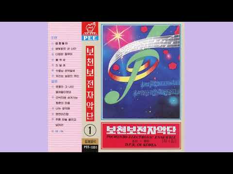 Cuckoo - Pochonbo Electronic Ensemble (DPRK/North Korean Music)