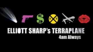 Elliott Sharp's Terraplane - New Steel