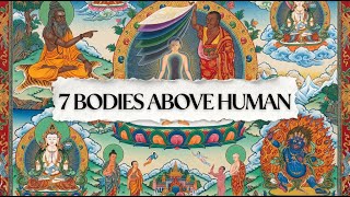 You Live in 8 Bodies… Your Human Body is Inferior (PARADIGM SHIFT)