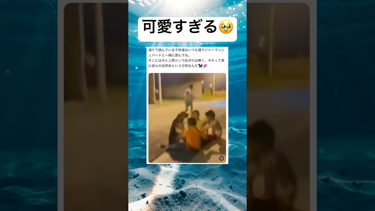 癒されるwww #shorts #おもしろ #友達 #動物 #感動する話