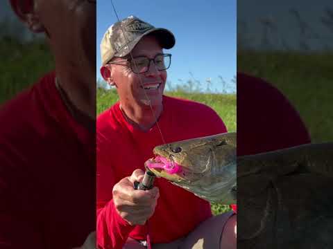 Hoje às 18h: quinto episódio da série Javali Dia é Noite 🎣🐗 #caça #hunters #javali #pescaria