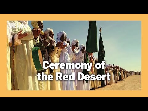 Celebration in Timimoun, Queen of the Algerian Sahara I WIDE